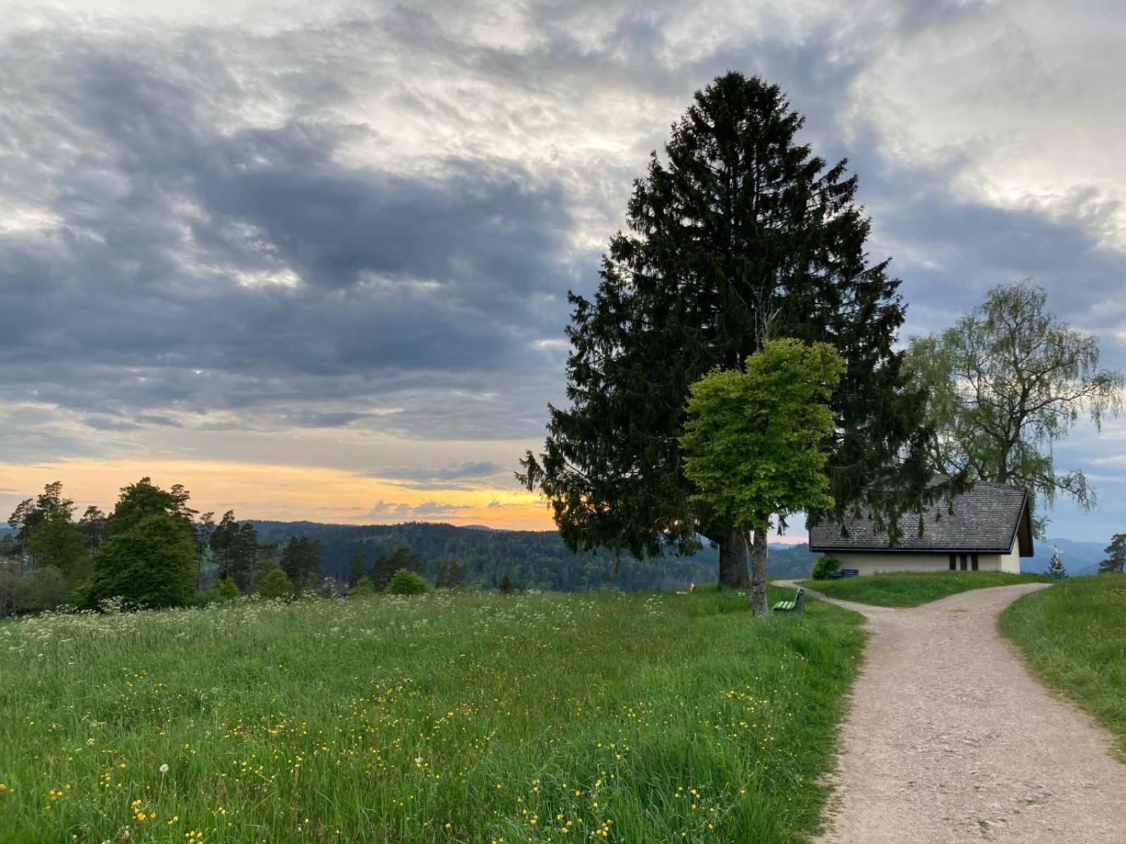Haus Hanni Höchenschwand Exteriör bild